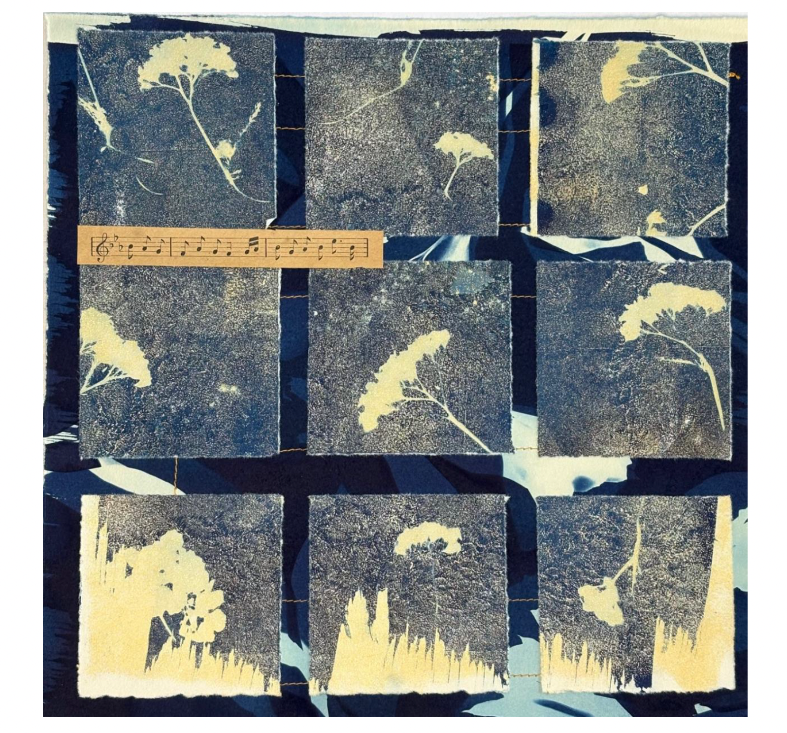 Rhythmic Exercises: nocturnal movement in cyanotype squares